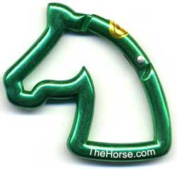 [ Horse Head Carabiner promo - CChorse ]