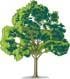 eco friendly products